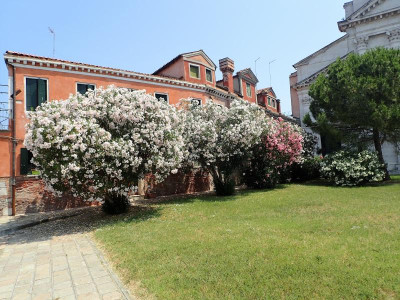 P6130587.jpg