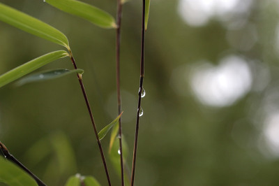 doppeltropfen_6070.jpg