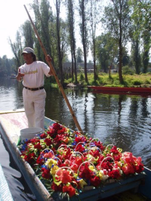 blumen.jpg