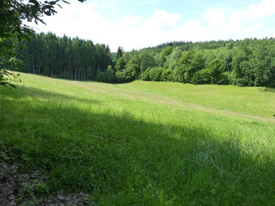 Büwiesen.JPG