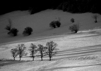 abendsonne_ueberm_nebel_sw.jpg