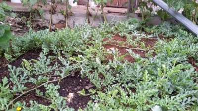 20170702_105521.jpg