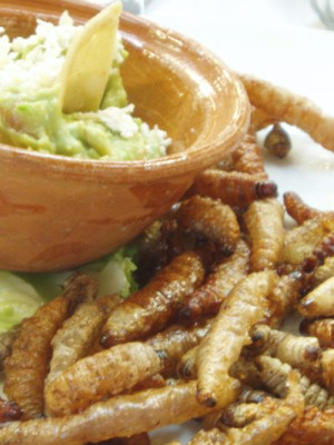 guacamole.jpg