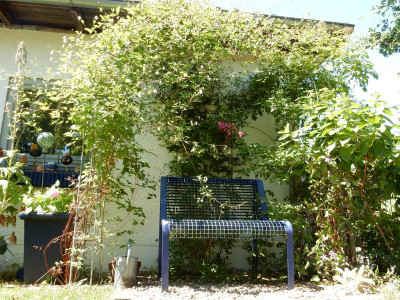 DSCN2871.JPG