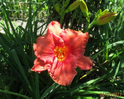 IMG_1080 small.jpg