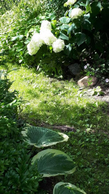 20170704_143902_001.jpg