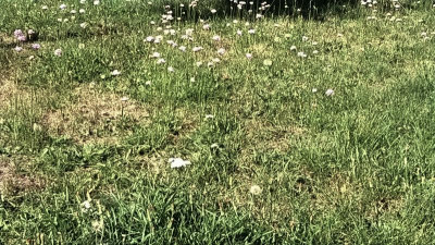 WP_20170706_006.jpg