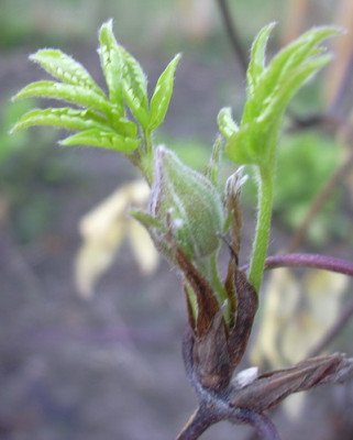 winter07_005.jpg