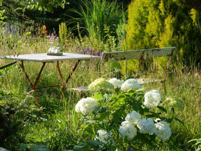 2017-07-06 Gartenimpressionen 3.jpg