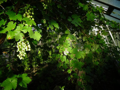 DSC03086.JPG