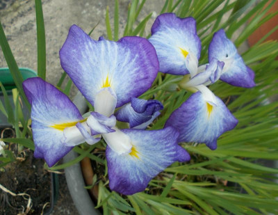 2017-06-13 10.25.59.jpg