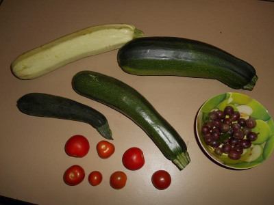 DSCN1392.JPG