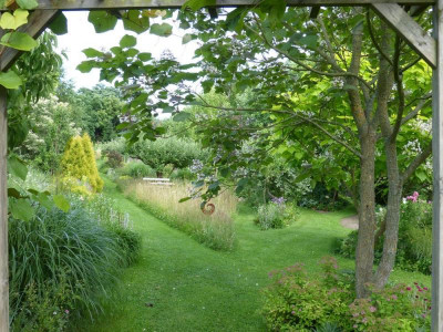 2017-07-07 Gartenimpressionen 3.jpg