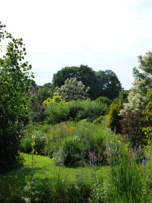 2017-07-07 Gartenimpressionen 7.jpg