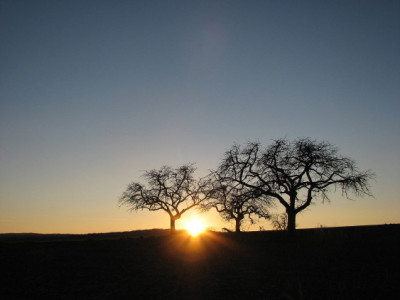 SONNE_SA_1301_I.jpg