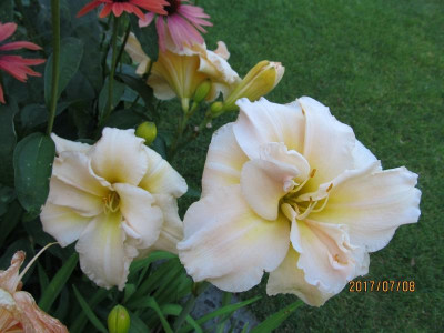 IMG_5112 small.jpg