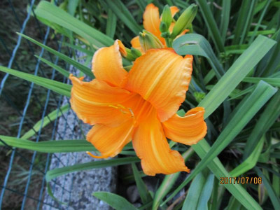 IMG_5106 small.jpg