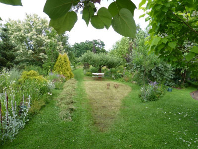 2017-07-08 Garteneinblick 1.jpg