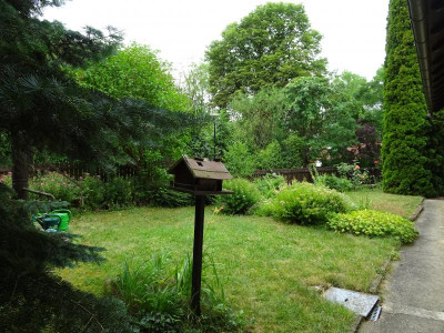 DSC00422.JPG
