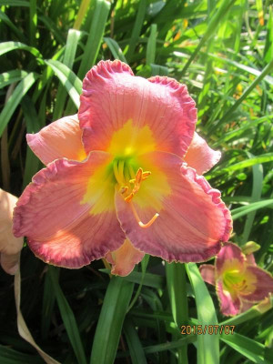 IMG_8936 small.jpg
