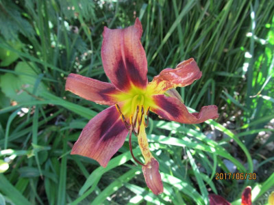 IMG_4719 small.jpg