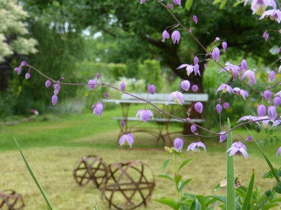 2017-07-09 Gartenimpressionen 2.jpg