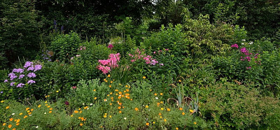 DSC_9292-Phloxbeet-Teil1_017.JPG