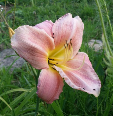 20170710_154906.jpg