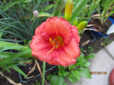 IMG_5192 small.jpg