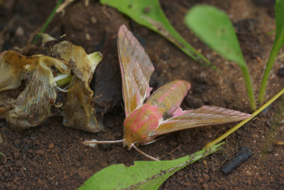 DSC026102.jpg