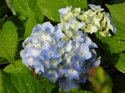 DSCN0350.JPG