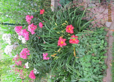 IMG_5327 small.jpg