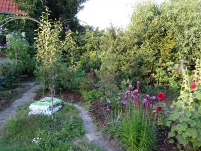 garten01.jpg