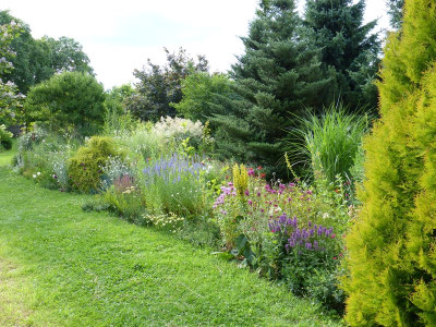 2017-07-13 Gartenimpressionen 4.jpg