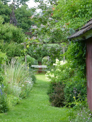 2017-07-13 Gartenimpressionen 6.jpg