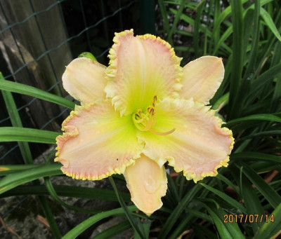 IMG_5506 small.jpg