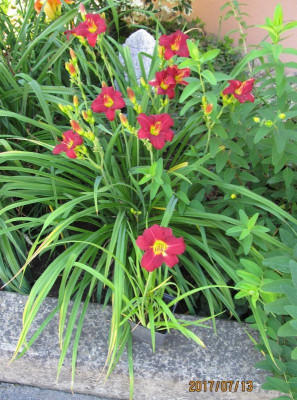 IMG_545 small3.jpg