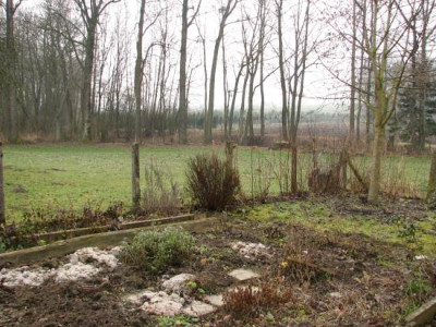 garten111.jpg