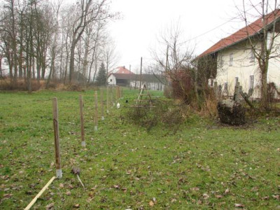 garten333.jpg