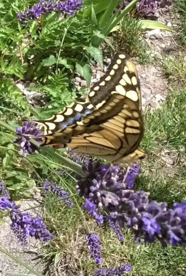 20170716_004.jpg