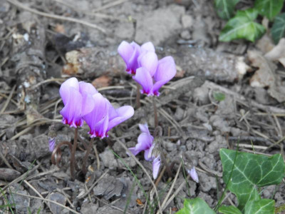 DSCN0380.JPG