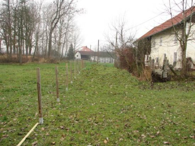 garten333_cimi.JPG