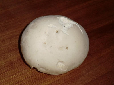 CIMG9437.JPG