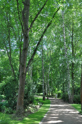 Waldgarten_1.jpg