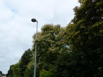 P1020115.JPG