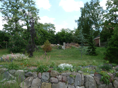 2011-05-25 Garten1.jpg