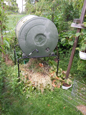 DSCN2940.JPG