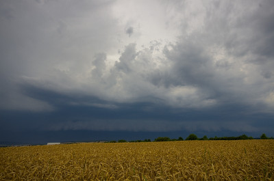 unbenannt-5116329.jpg