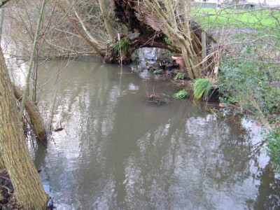 GroenanderungIMG_0409.JPG