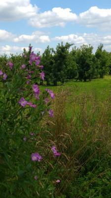 20170721_132008.jpg